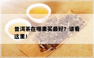 普洱茶在哪里买更好？请看这里！