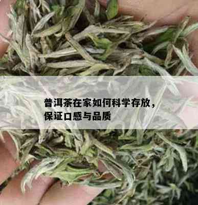 普洱茶在家如何科学存放，保证口感与品质