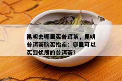 昆明去哪里买普洱茶，昆明普洱茶购买指南：哪里可以买到优质的普洱茶？