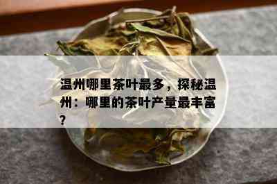 温州哪里茶叶最多，探秘温州：哪里的茶叶产量最丰富？