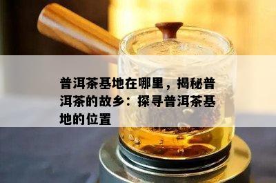 普洱茶基地在哪里，揭秘普洱茶的故乡：探寻普洱茶基地的位置