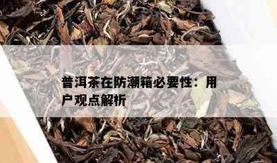 普洱茶在防潮箱必要性：用户观点解析