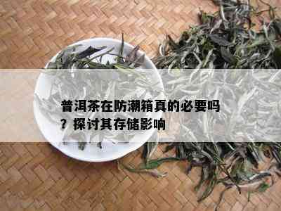 普洱茶在防潮箱真的必要吗？探讨其存储影响