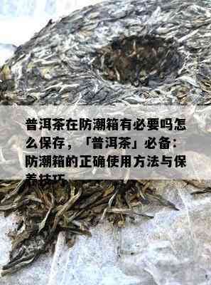 普洱茶在防潮箱有必要吗怎么保存，「普洱茶」必备：防潮箱的正确使用方法与保养技巧