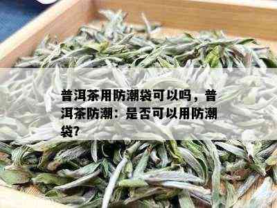 普洱茶用防潮袋可以吗，普洱茶防潮：是否可以用防潮袋？