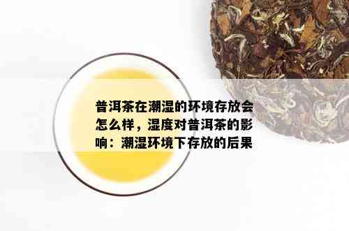 普洱茶在潮湿的环境存放会怎么样，湿度对普洱茶的影响：潮湿环境下存放的后果