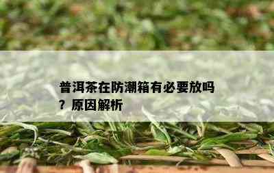 普洱茶在防潮箱有必要放吗？原因解析