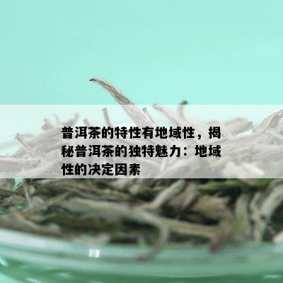 普洱茶的特性有地域性，揭秘普洱茶的独特魅力：地域性的决定因素