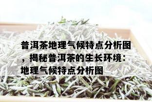 普洱茶地理气候特点分析图，揭秘普洱茶的生长环境：地理气候特点分析图