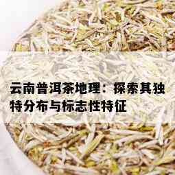 云南普洱茶地理：探索其独特分布与标志性特征