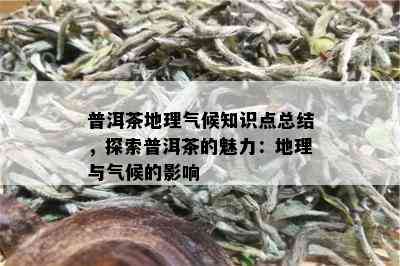 普洱茶地理气候知识点总结，探索普洱茶的魅力：地理与气候的影响