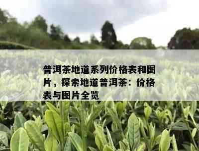 普洱茶地道系列价格表和图片，探索地道普洱茶：价格表与图片全览