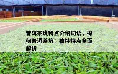 普洱茶坑特点介绍词语，探秘普洱茶坑：独特特点全面解析