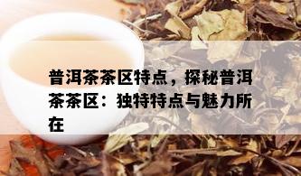 普洱茶茶区特点，探秘普洱茶茶区：独特特点与魅力所在