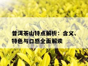 普洱茶山特点解析：含义、特色与口感全面解读