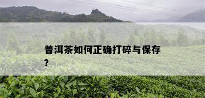 普洱茶如何正确打碎与保存？