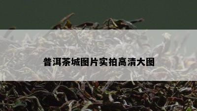 普洱茶城图片实拍高清大图