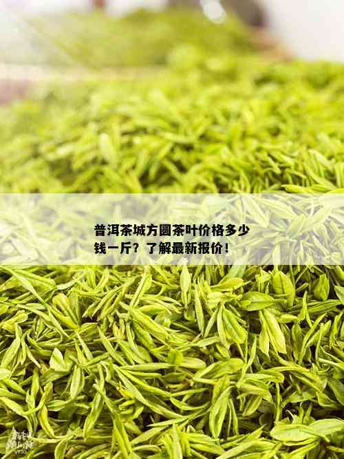 普洱茶城方圆茶叶价格多少钱一斤？了解最新报价！