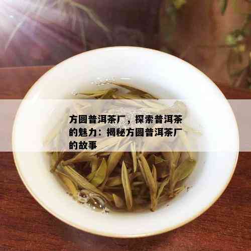 方圆普洱茶厂，探索普洱茶的魅力：揭秘方圆普洱茶厂的故事