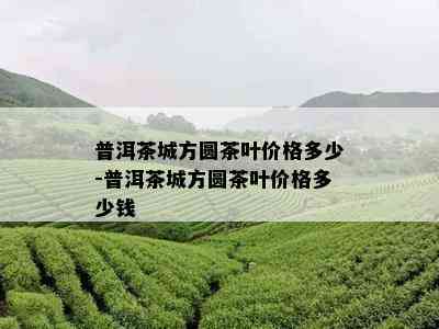 普洱茶城方圆茶叶价格多少-普洱茶城方圆茶叶价格多少钱