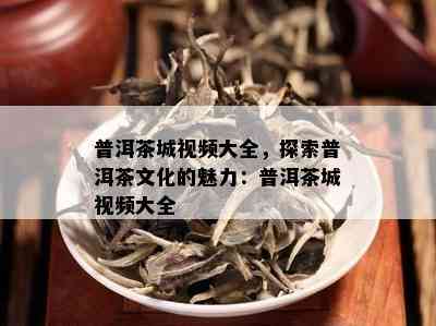 普洱茶城视频大全，探索普洱茶文化的魅力：普洱茶城视频大全