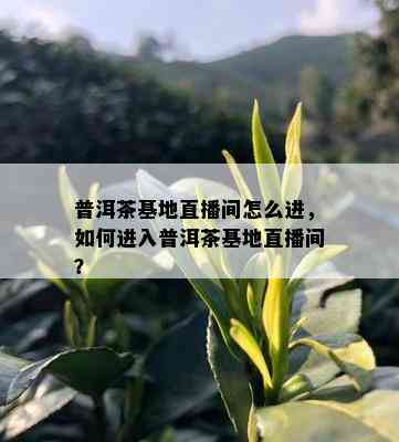 普洱茶基地直播间怎么进，如何进入普洱茶基地直播间？