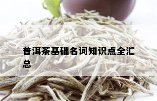 普洱茶基础名词知识点全汇总