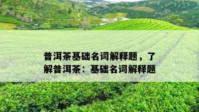 普洱茶基础名词解释题，了解普洱茶：基础名词解释题