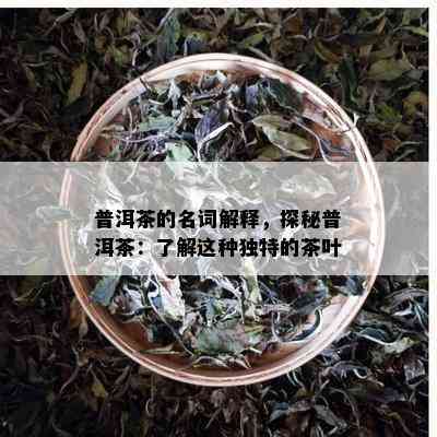 普洱茶的名词解释，探秘普洱茶：了解这种独特的茶叶