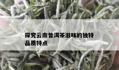 探究云南普洱茶滋味的独特品质特点