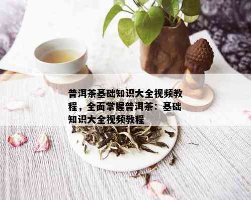 普洱茶基础知识大全视频教程，全面掌握普洱茶：基础知识大全视频教程