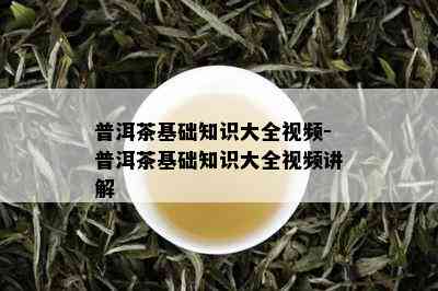 普洱茶基础知识大全视频-普洱茶基础知识大全视频讲解