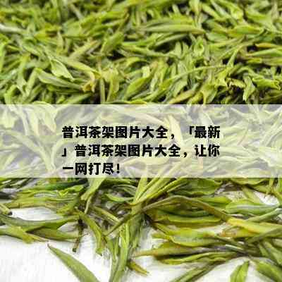 普洱茶架图片大全，「最新」普洱茶架图片大全，让你一网打尽！