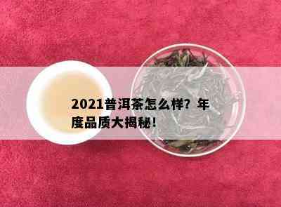 2021普洱茶怎么样？年度品质大揭秘！