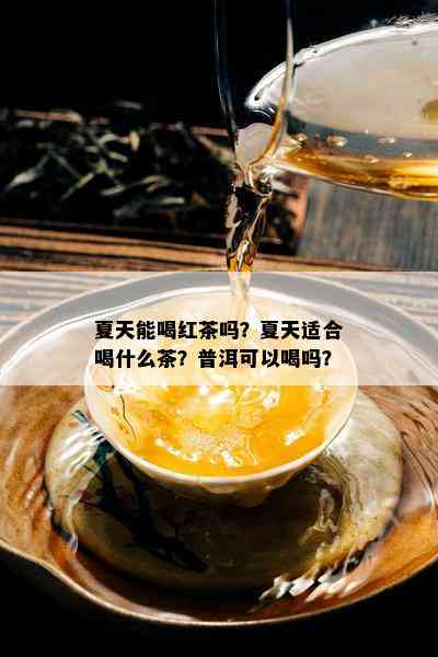 夏天能喝红茶吗？夏天适合喝什么茶？普洱可以喝吗？