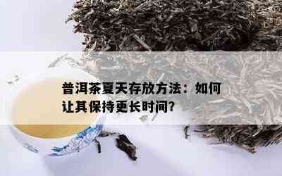 普洱茶夏天存放方法：如何让其保持更长时间？