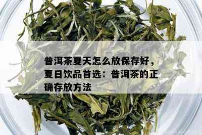 普洱茶夏天怎么放保存好，夏日饮品首选：普洱茶的正确存放方法