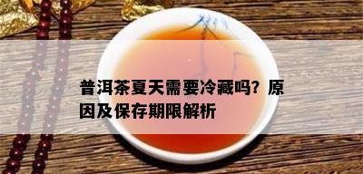 普洱茶夏天需要冷藏吗？原因及保存期限解析