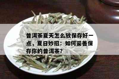 普洱茶夏天怎么放保存好一点，夏日妙招：如何妥善保存你的普洱茶？