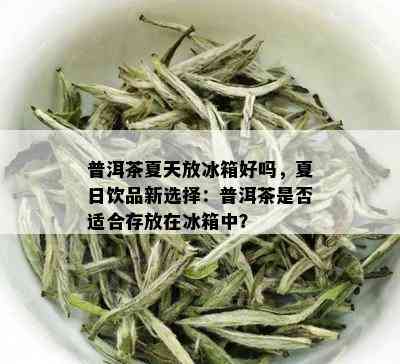 普洱茶夏天放冰箱好吗，夏日饮品新选择：普洱茶是否适合存放在冰箱中？