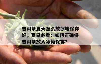 普洱茶夏天怎么放冰箱保存好，夏日必看：如何正确将普洱茶放入冰箱保存？