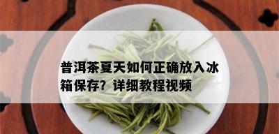 普洱茶夏天如何正确放入冰箱保存？详细教程视频