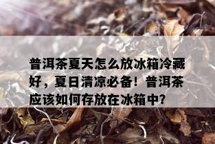 普洱茶夏天怎么放冰箱冷藏好，夏日清凉必备！普洱茶应该如何存放在冰箱中？