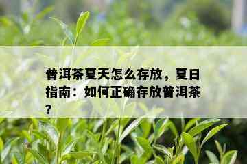 普洱茶夏天怎么存放，夏日指南：如何正确存放普洱茶？