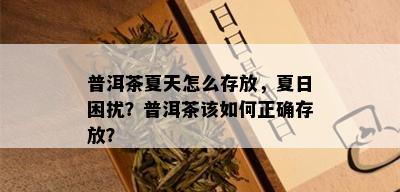 普洱茶夏天怎么存放，夏日困扰？普洱茶该如何正确存放？