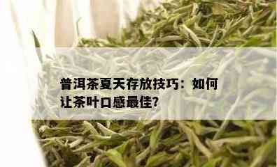 普洱茶夏天存放技巧：如何让茶叶口感更佳？