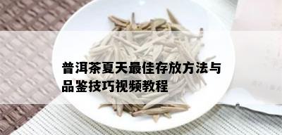 普洱茶夏天更佳存放方法与品鉴技巧视频教程