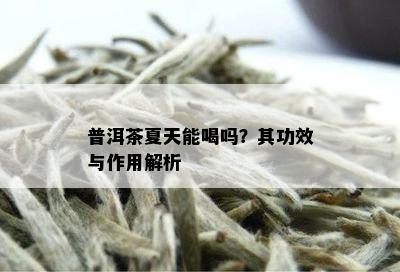 普洱茶夏天能喝吗？其功效与作用解析