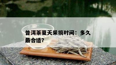 普洱茶夏天采摘时间：多久最合适？