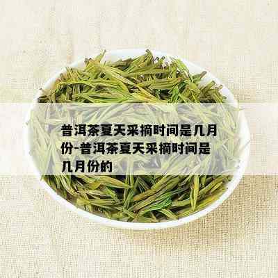 普洱茶夏天采摘时间是几月份-普洱茶夏天采摘时间是几月份的